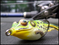 Frog Fishing Most Effective