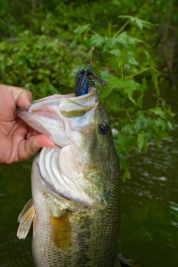 Jig Tactics For Bass