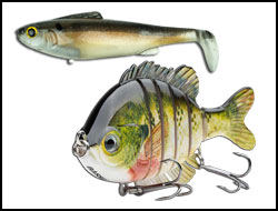 Swimbait Fishing For Bass