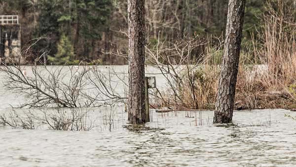 How to fish flooded bass fishing lakes and rivers