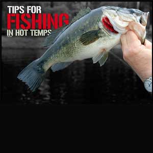 Summer Bass Fishing targets shaded, oxygen-rich waters.